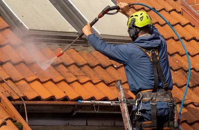 Démoussage et hydrofuge de toiture à Monlezun